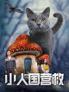 青青草视频官网