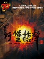 久久99国产精品视频