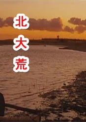 午夜在线视频免费